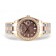 Rolex Day-Date Special Edition Watch