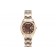 Rolex Day-Date Special Edition Watch