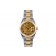 Rolex Datejust 36mm - Steel and Gold Watch